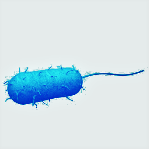 Bacteria999's avatar